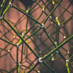 green and black rope